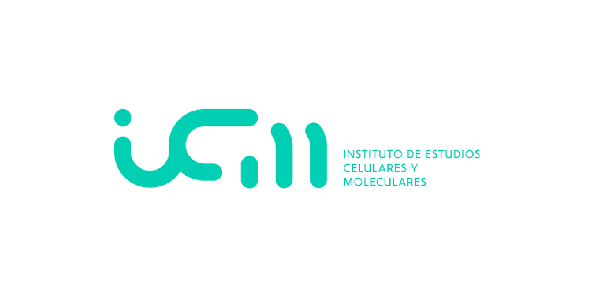 ICM