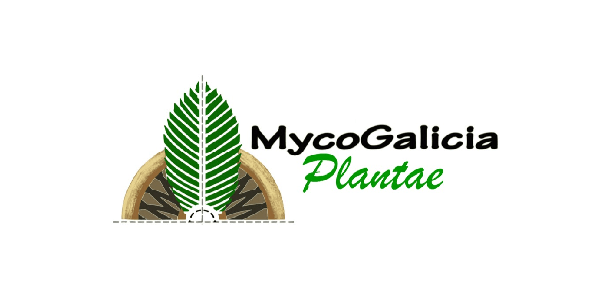 MycoGalicia_Plantae