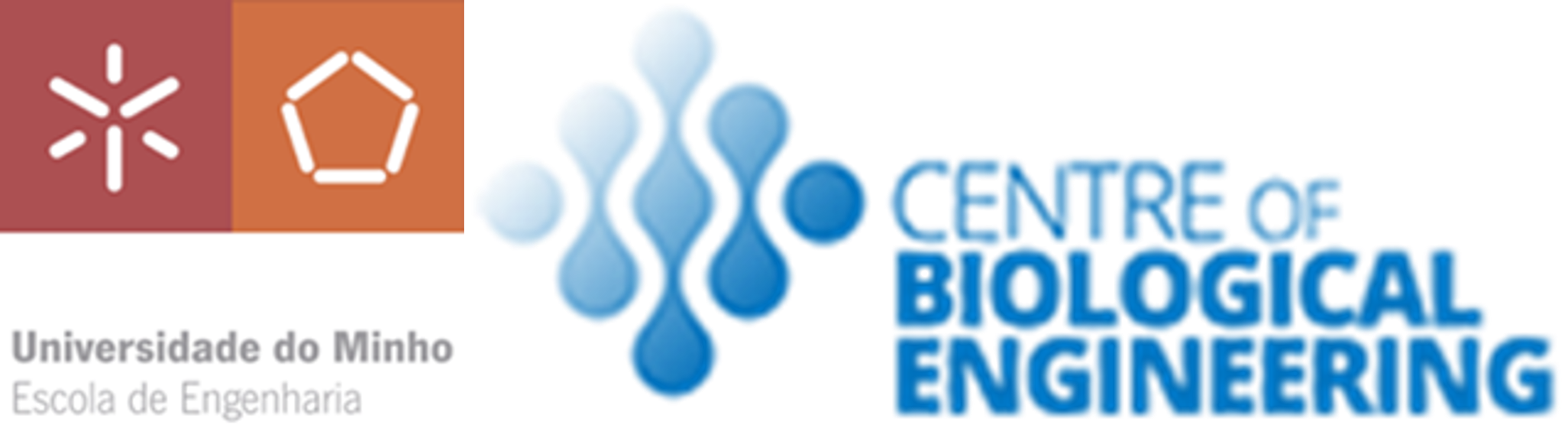 Logos-CEB-Uminho-EEng