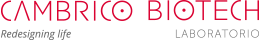 Cambrico-Logo-Claim-260