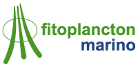 fitoplacton-marino