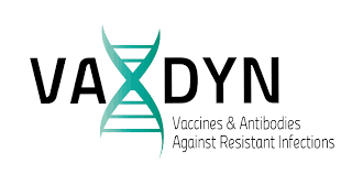 vaxdyn