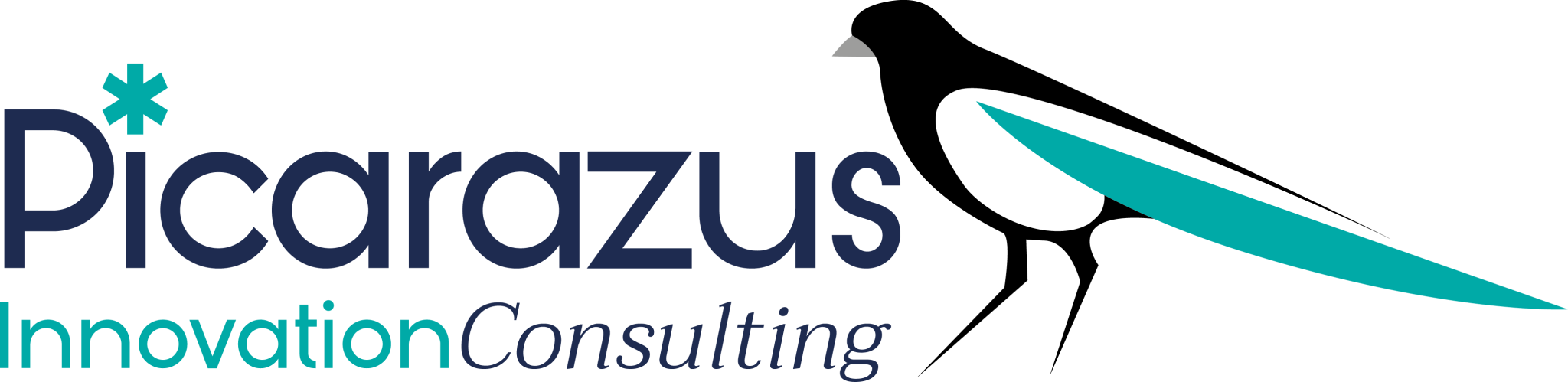 Logo-Picarazus_0-2-2048x499-1